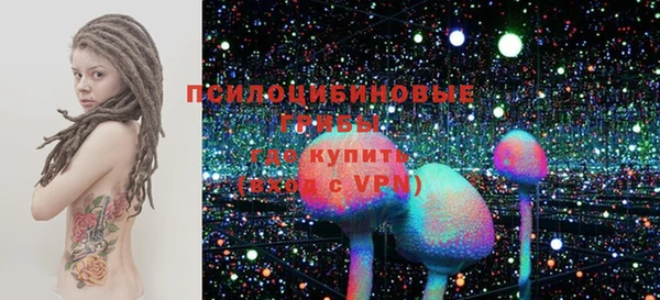 шишки Каменск-Шахтинский