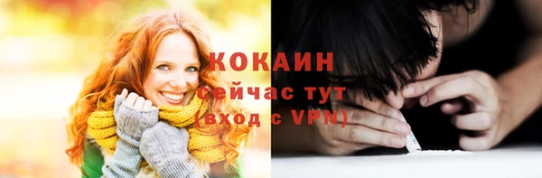 молекула духа Каменка