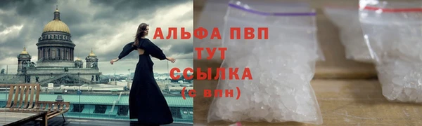 молекула духа Каменка