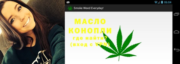 молекула духа Каменка