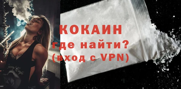 молекула духа Каменка