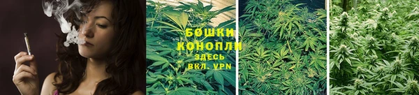 молекула духа Каменка
