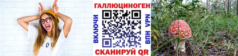 Псилоцибиновые грибы Magic Shrooms  Купить закладки  Волжск 